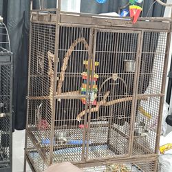 BIRD!!!!!!cage