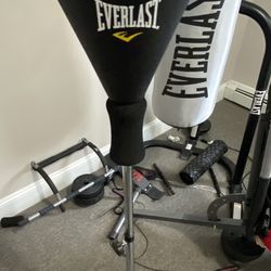 Everlast Reflex Punching Bag 