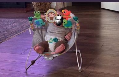 Baby bouncer