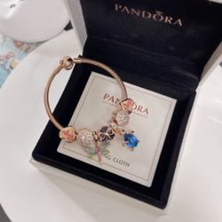 Pandora Bracelet. New Bracelet, New charms, Box, Bag