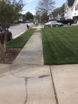 Grass cutting