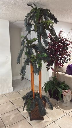 Tall Palm Tree in Basket
