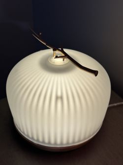 Diffuser