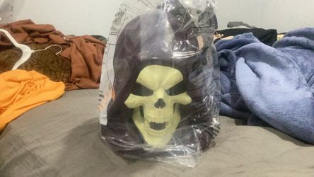 Master of the universe Skelton head