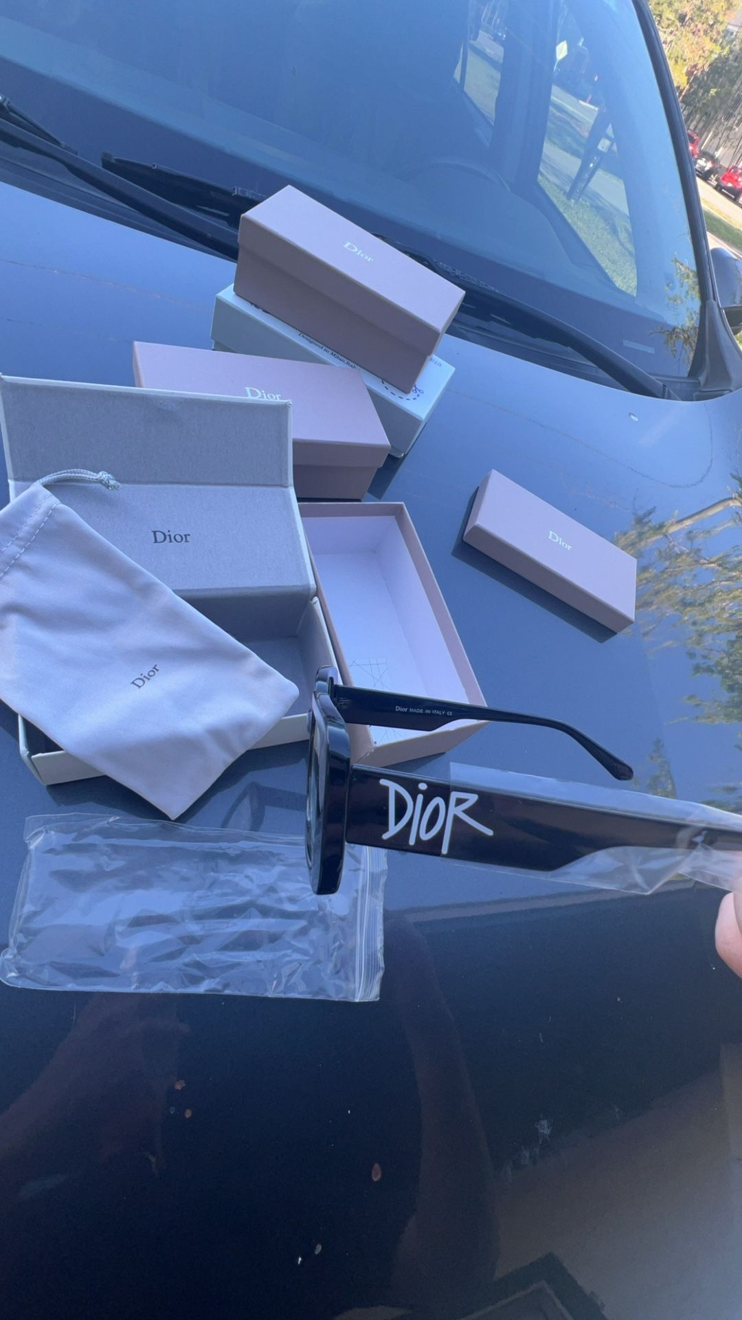 Dior Glasses Black Colorway