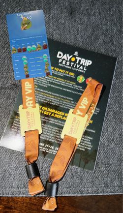 Day Trip wristband VIP