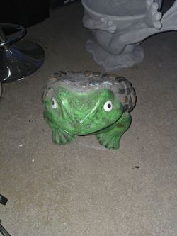 Frog planter