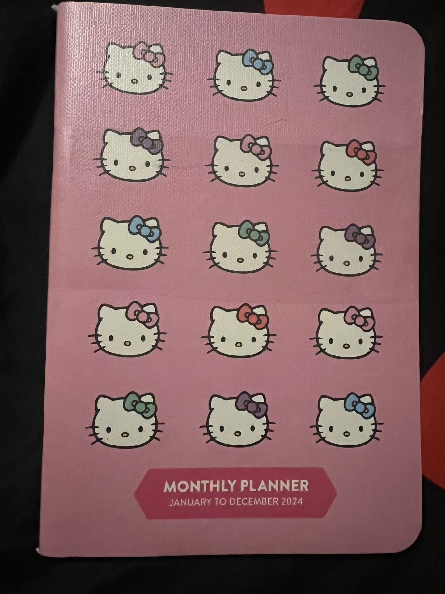Hello Kitty Sanrio Pink 2024 Monthly/Daily Planner