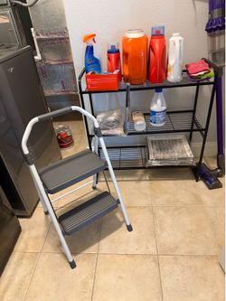 Shelf and Stepstool