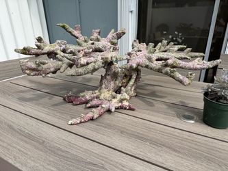 Aquarium rock aqua scape  tree