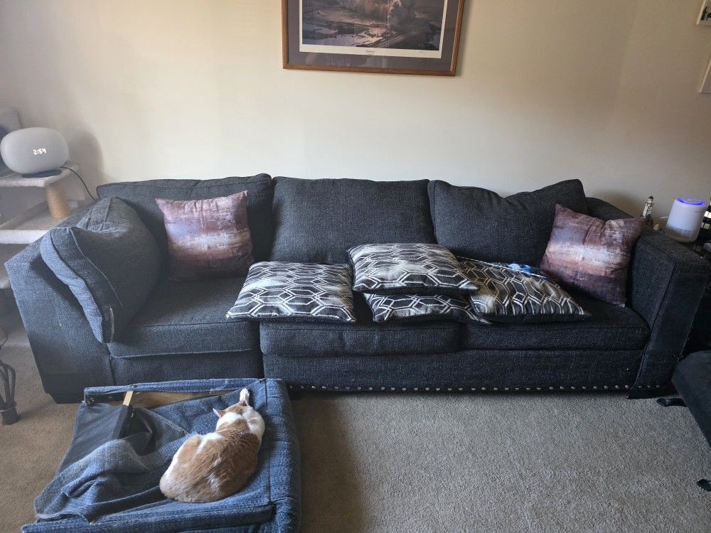 Free Sleeper Sofa