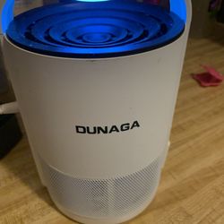 Bug Mosquitos Flies Fruit Flies Trapper