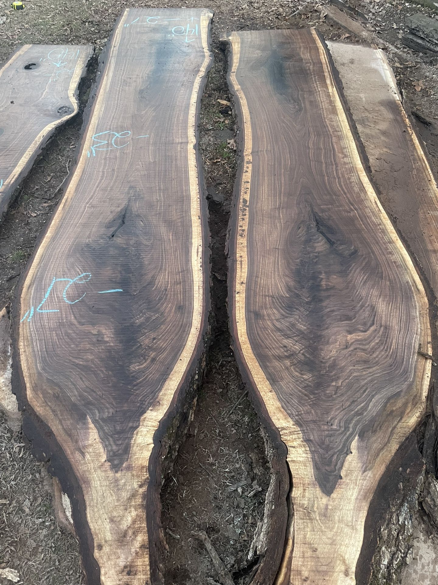 Black Walnut Slabs