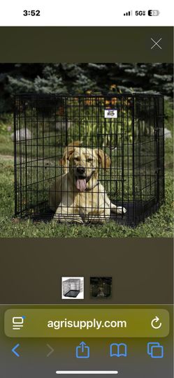Extra large double door, dog cage for big dog