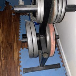 45 Plates