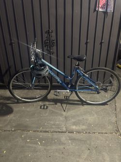 Schwinn Bike