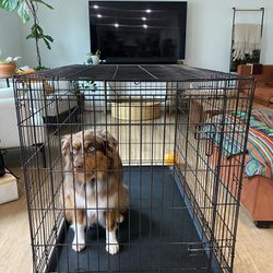 Extra Large Collapsible Dog Crate 