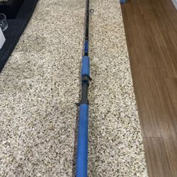 6’6” seeker blue lightning 2 inshore rod