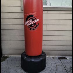 XL Punching 👊 Kicking Bag 🎒