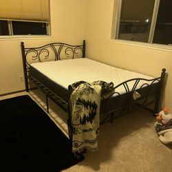 Twin Bed W Mattress