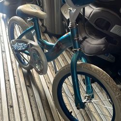 Frozen Bike 16”