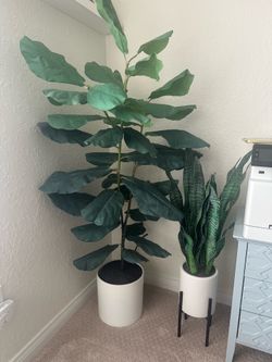 Faux Fig & Snake Plant w. Base