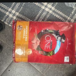 Dog Food 
