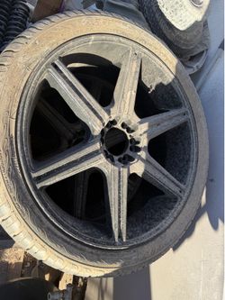 Rines 24s