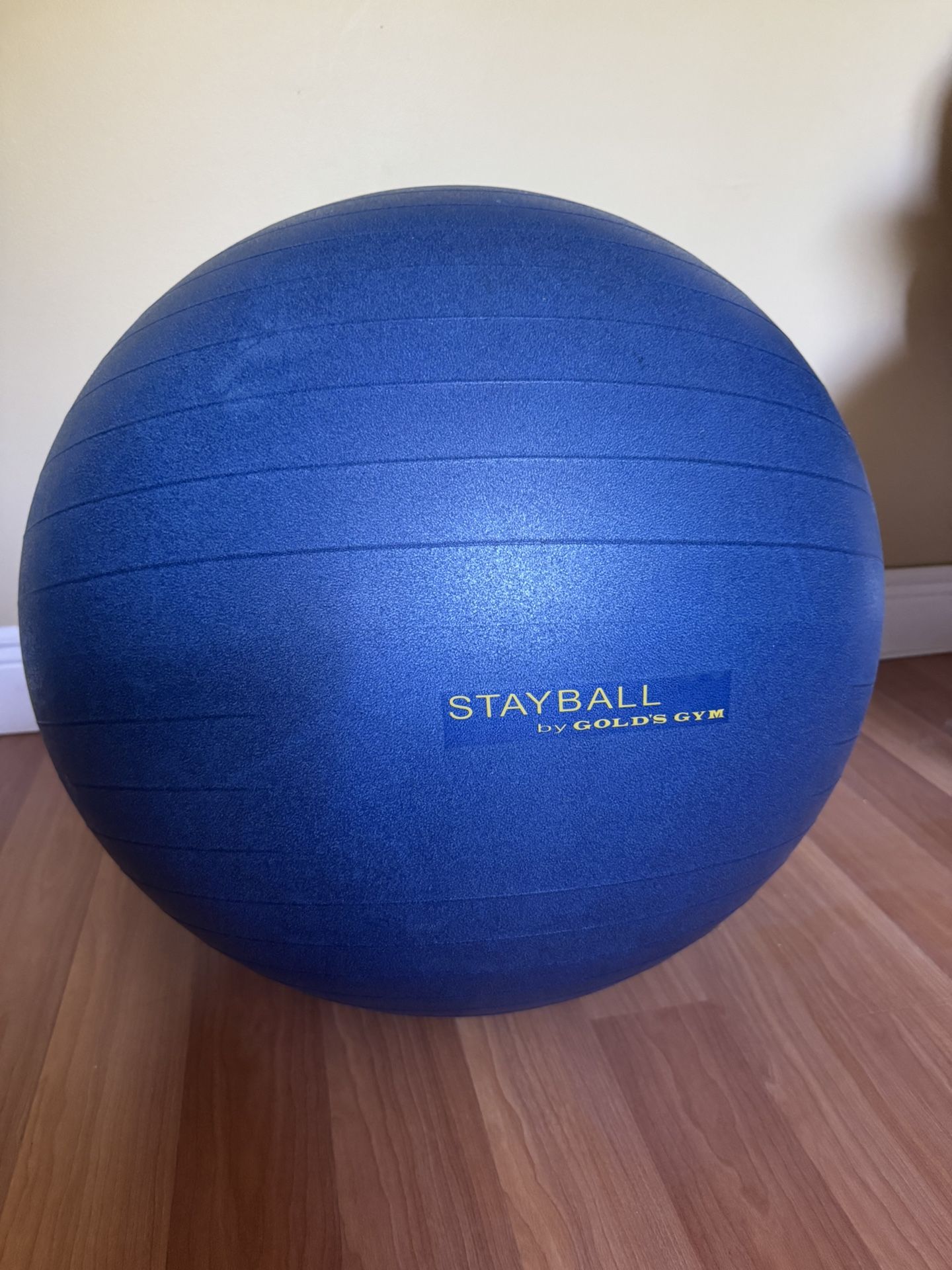 Stability Ball- StayBall By Gold’s Gym- Like New