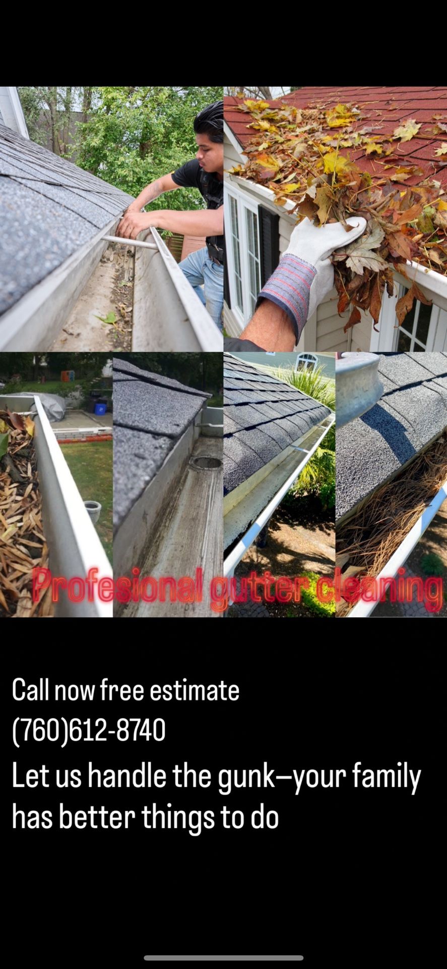 Profesional Gutter Cleaning