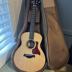 Taylor GS Mini