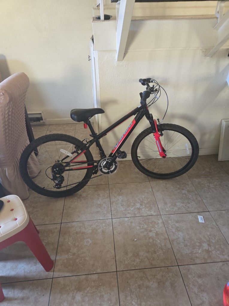 Mountain Bike
