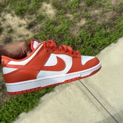 Nike Dunk Retro Lows 