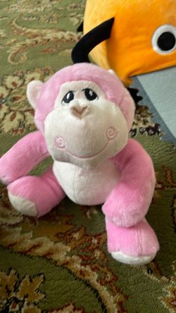 Cute monkey