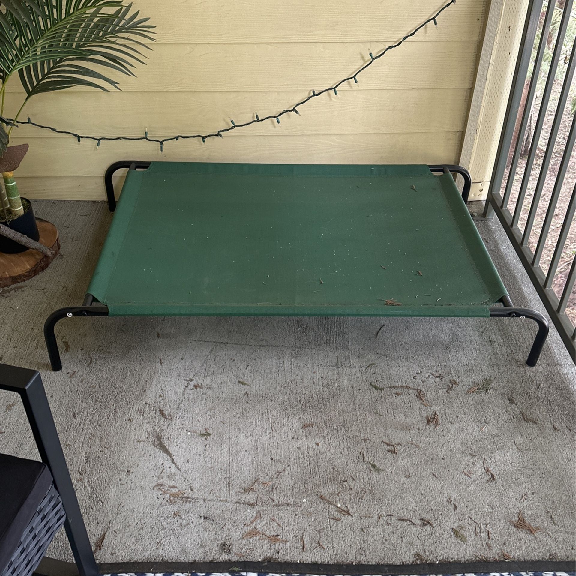 Raised Pet Bed