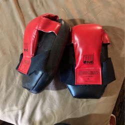 Round One Boxing Coaches Gloves