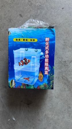 Fish