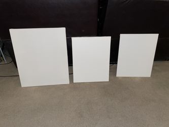Artist Canvas Assorted Sizes (see Photos For Description) All Of Them For $20 In Great Condition…New