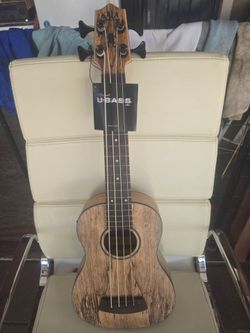 Acoustic And Electric U-Bass