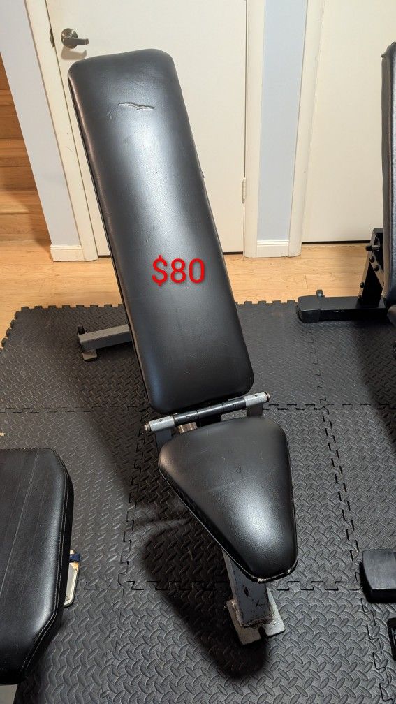 Weight Training Bench Exercise Fitness