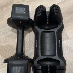 Adjustable Dumbbell 5-25lbs