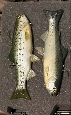 Hawg Hunter 9” trout