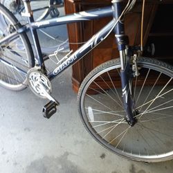 Giant Men's Touring Bike