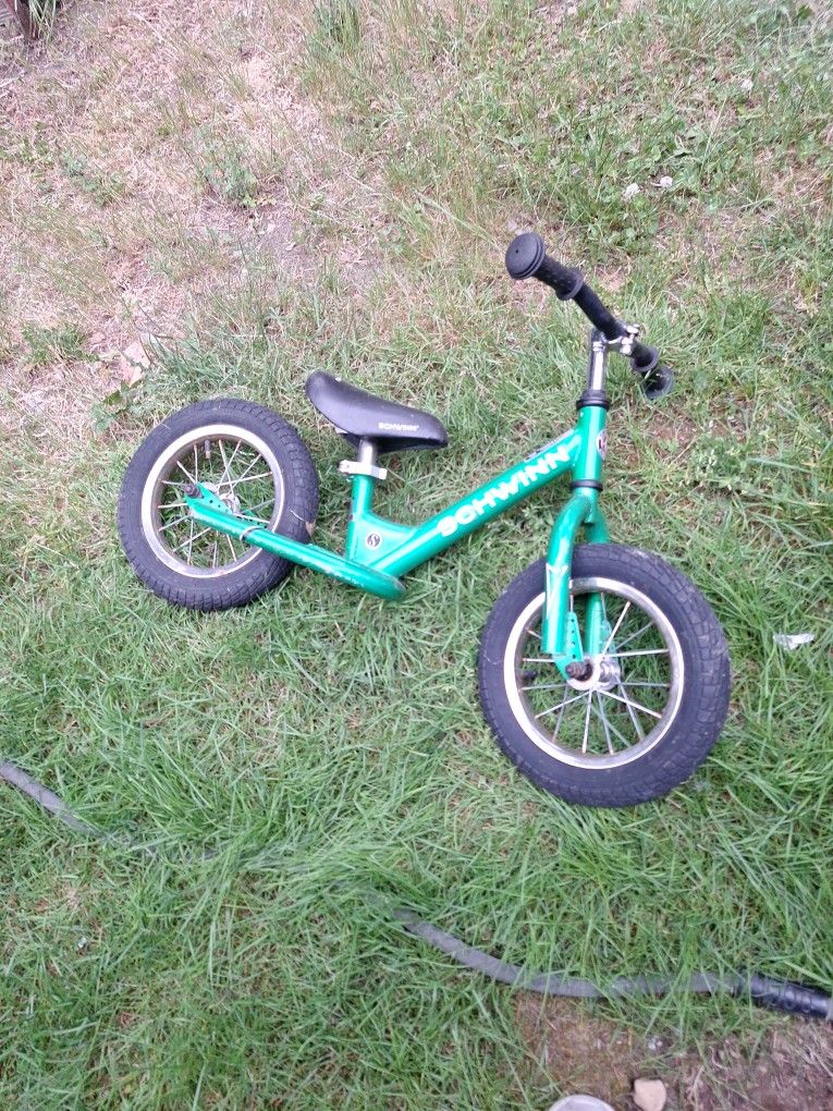 Schwinn 12 Inch Push Bike