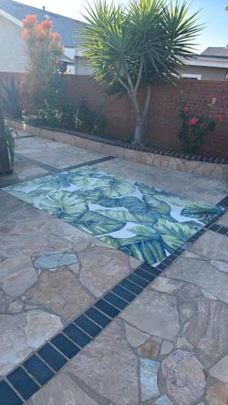 Outdoor rug-shoot me an offer!