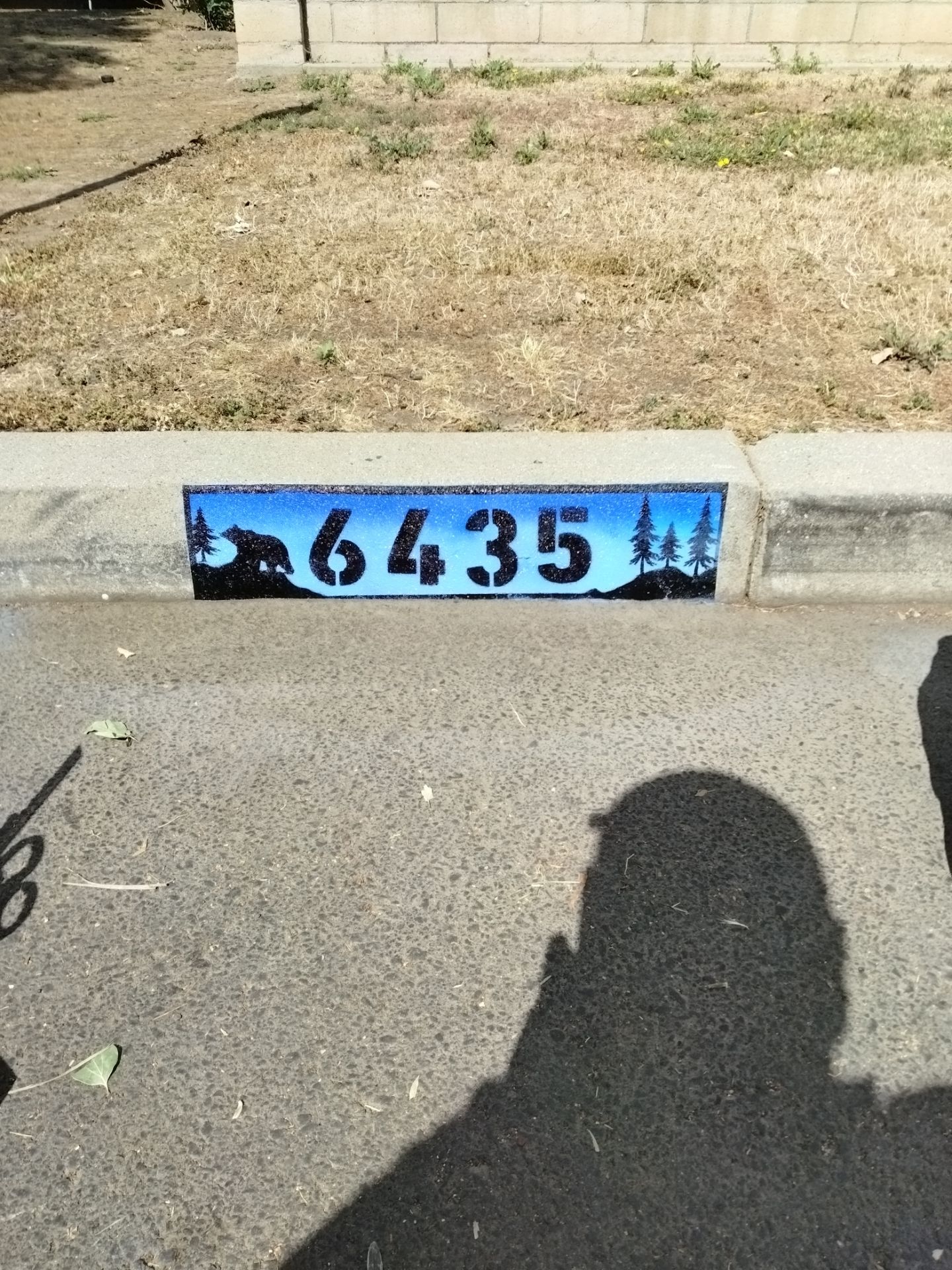 Curb art