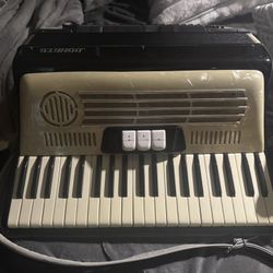 1950S 120 Button Antique Accordion Absolutely Mint Condition