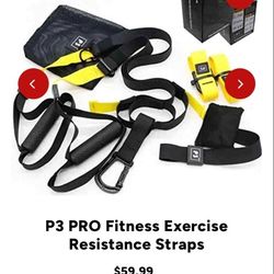 Pro Excercise Straps New