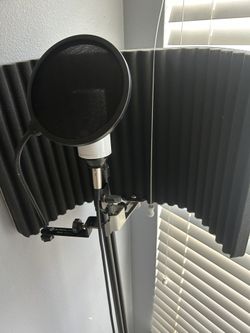 Mic Setup