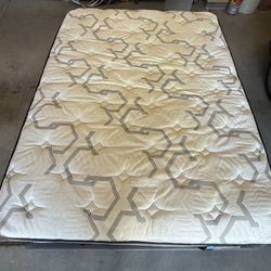 Revive by Living Spaces Queen size Mechanical Bed